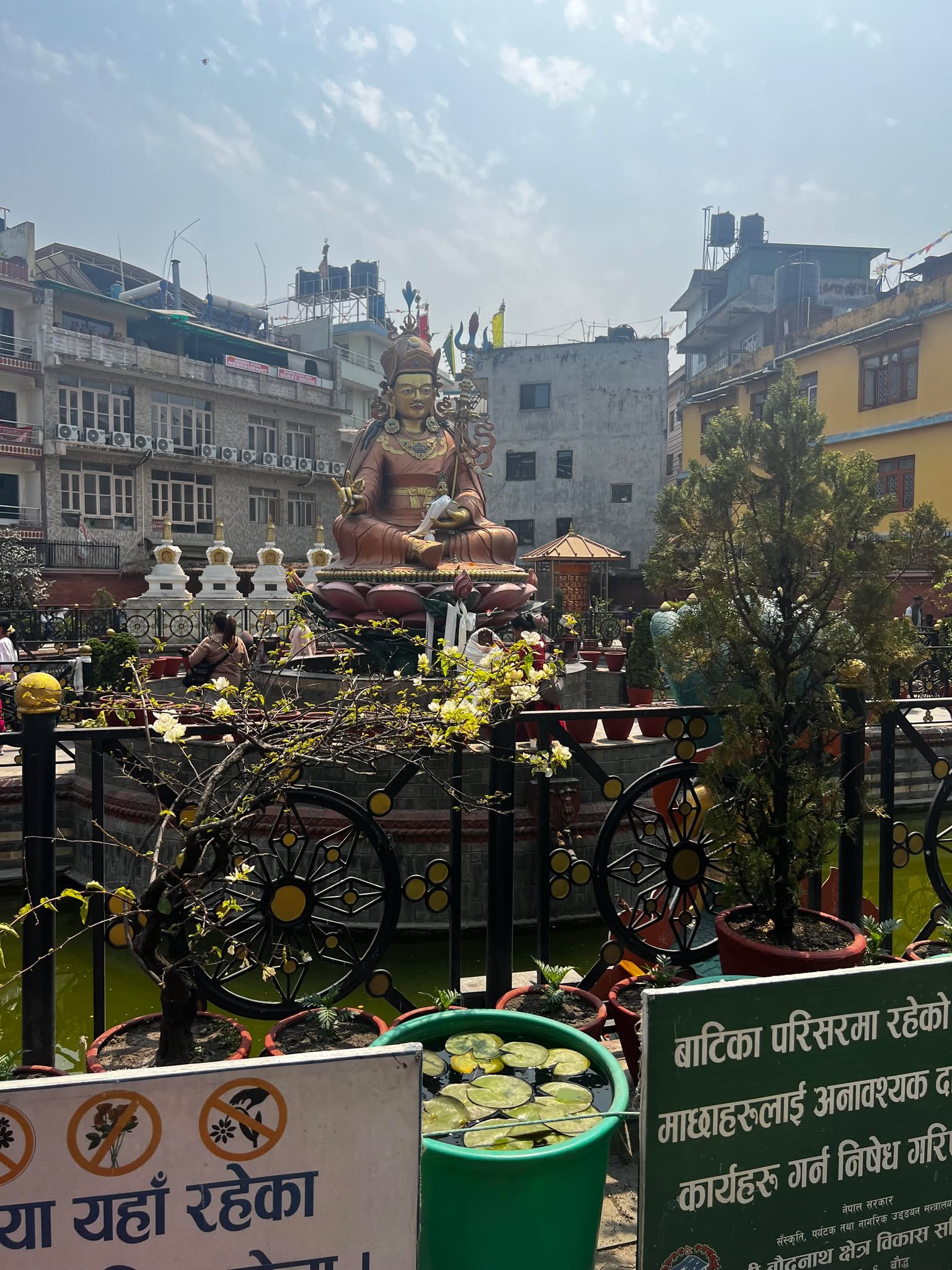 487671793_1196147921542716_6041368212790997583_n